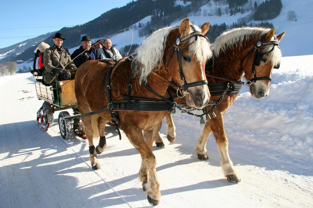 Haus Alpina Ski In & Ski Out Шладминг Екстериор снимка